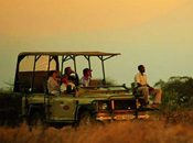 Kenya, safari, rover