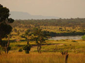 Tanzania, safari